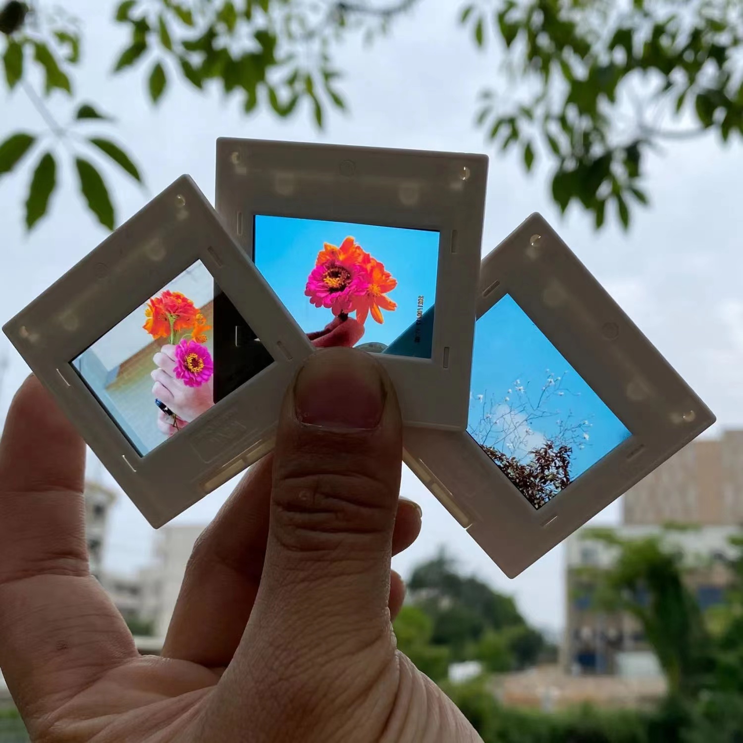 35mm 135 Mm Film Slide Mounts  - Film Camera 35Mm review and price
